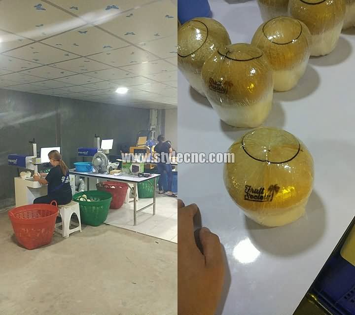 椰子激光打標(biāo)機(jī)